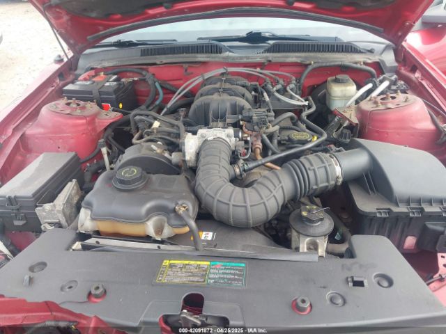 2005 FORD MUSTANG 1ZVFT80N255172159 Photo 9