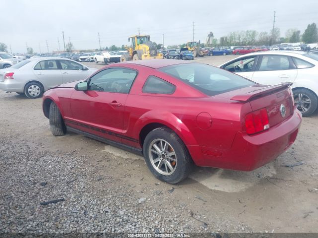 2005 FORD MUSTANG 1ZVFT80N255172159 Photo 2