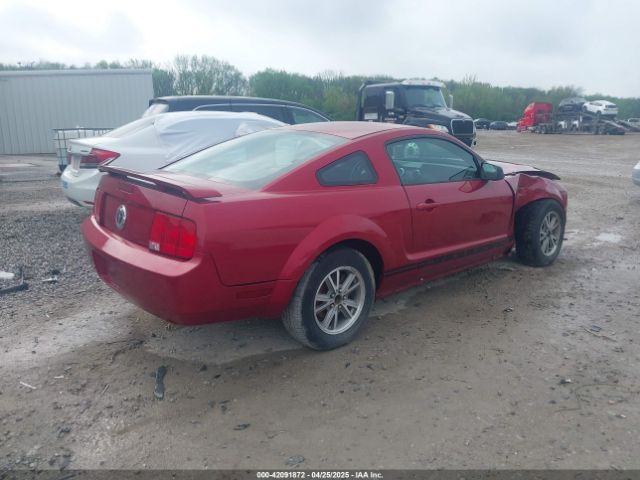 2005 FORD MUSTANG 1ZVFT80N255172159 Photo 3