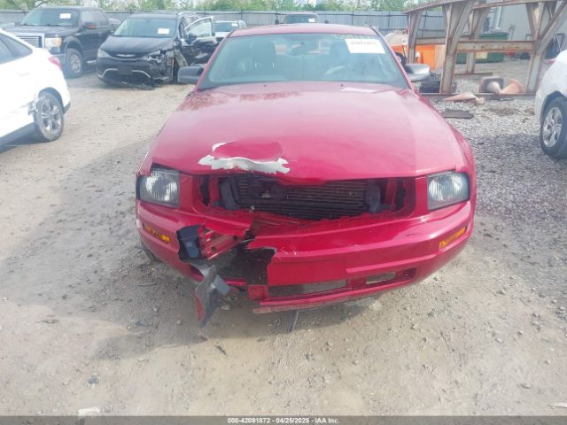 2005 FORD MUSTANG 1ZVFT80N255172159 Photo 5