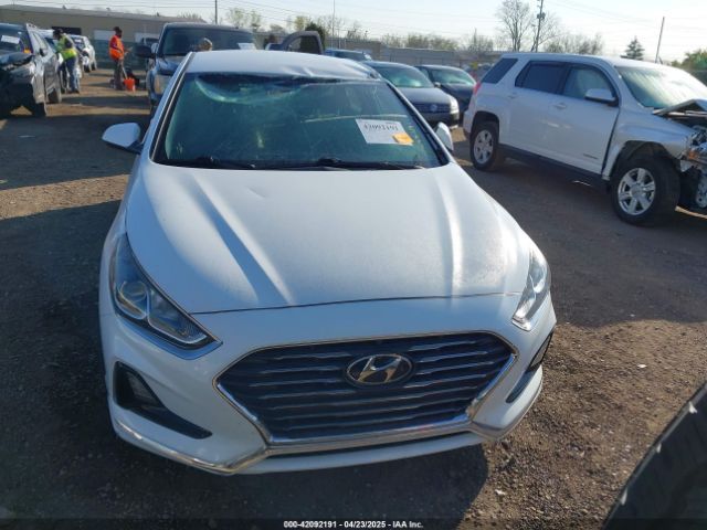 5NPE24AA2JH718958 Hyundai SONATA ECO