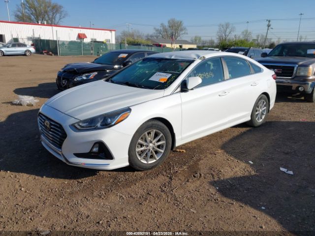 5NPE24AA2JH718958 Hyundai SONATA ECO