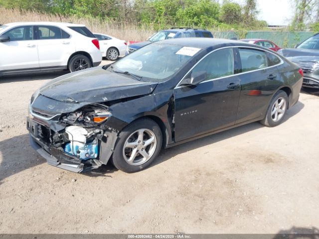 1G1ZB5STXJF164501 Chevrolet Malibu 1ls