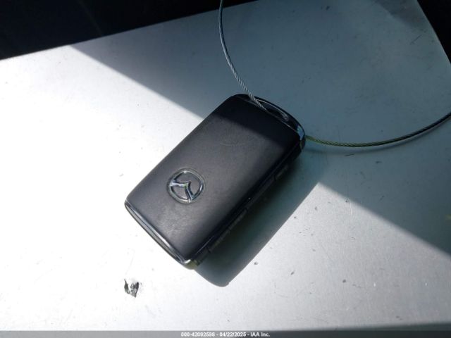 JM1BPAMM3R1720519 Mazda Mazda3 2.5 S Preferred