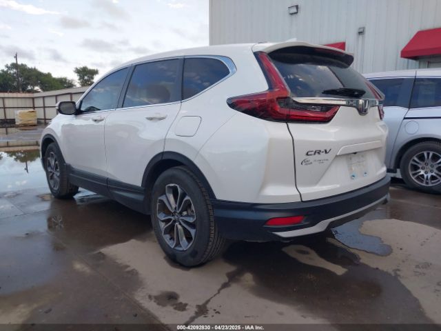 2022 HONDA CR-V 7FARW1H5XNE004856 Photo 2