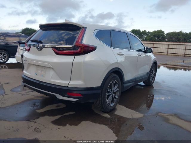 2022 HONDA CR-V 7FARW1H5XNE004856 Photo 3