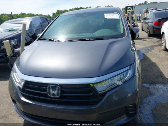 5FNRL6H67PB067555 Honda Odyssey Ex-l