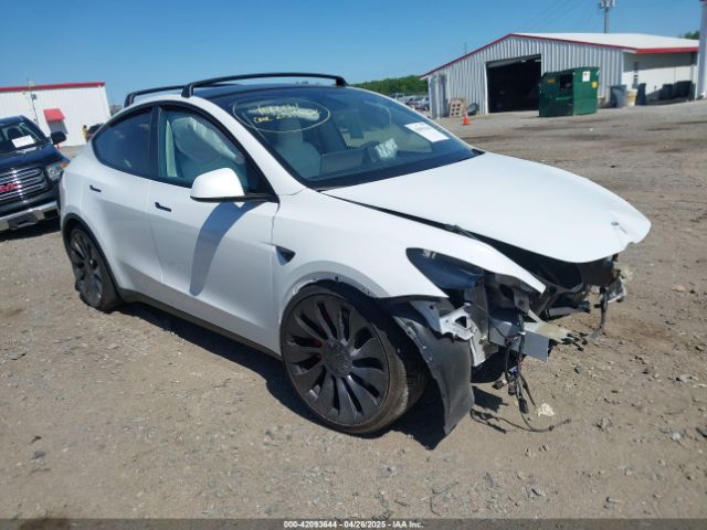2023 TESLA MODEL Y 7SAYGDEF2PF858782