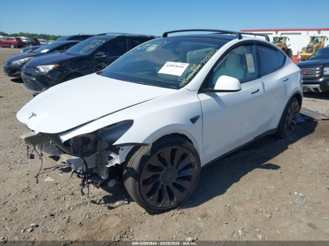 2023 TESLA MODEL Y 7SAYGDEF2PF858782 Photo 1