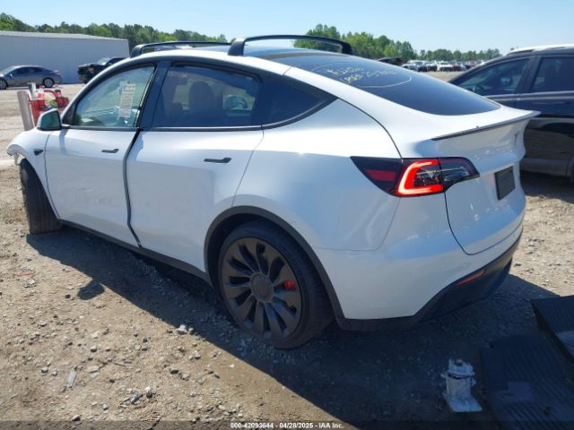 2023 TESLA MODEL Y 7SAYGDEF2PF858782 Photo 2