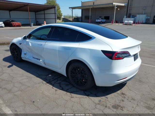 2019 TESLA MODEL 3 5YJ3E1EB0KF433398 Photo 2