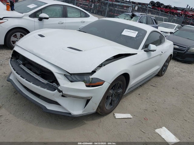 Ford 4v 2019 1FA6P8TH8K5174111 Image 2