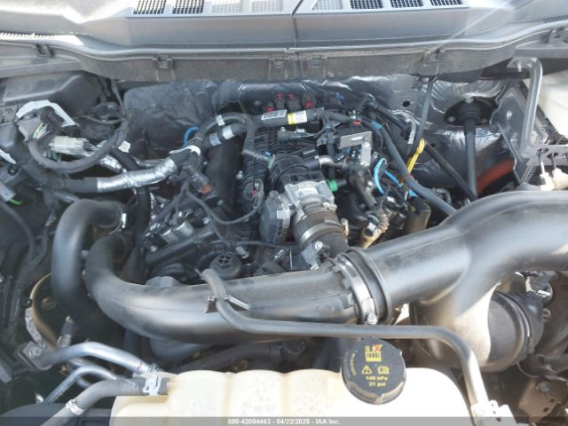 1FTEW1EP4NKE46440 Ford F-150 Xlt
