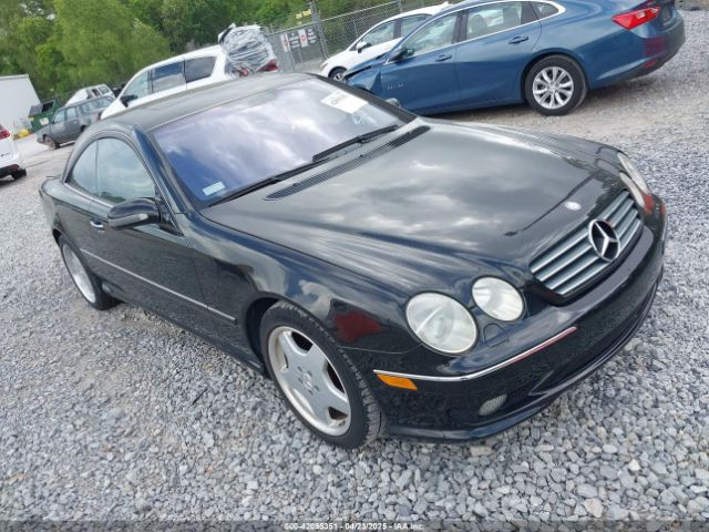 2002 MERCEDES-BENZ CL 500 WDBPJ75J62A022599