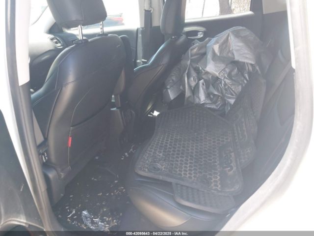 3C4NJDDB4KT780239 Jeep Compass Trailhawk 4x4