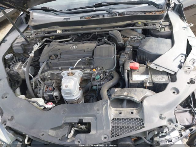 19UUB1F37HA001558 Acura TLX