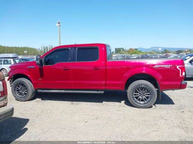 1FTFW1EG1FKF10133 Ford F-150 Xlt