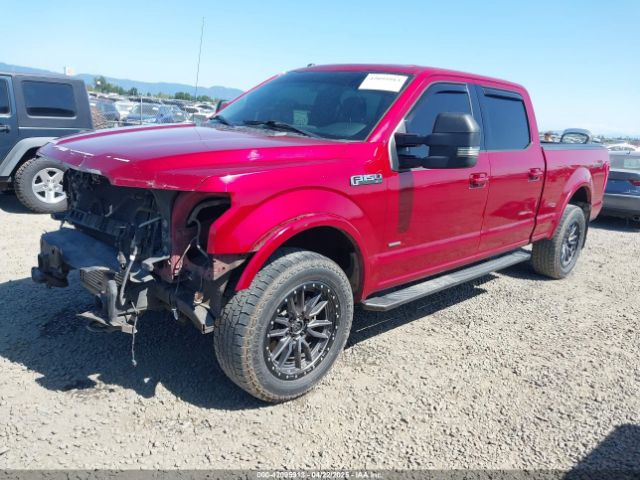 1FTFW1EG1FKF10133 Ford F-150 Xlt