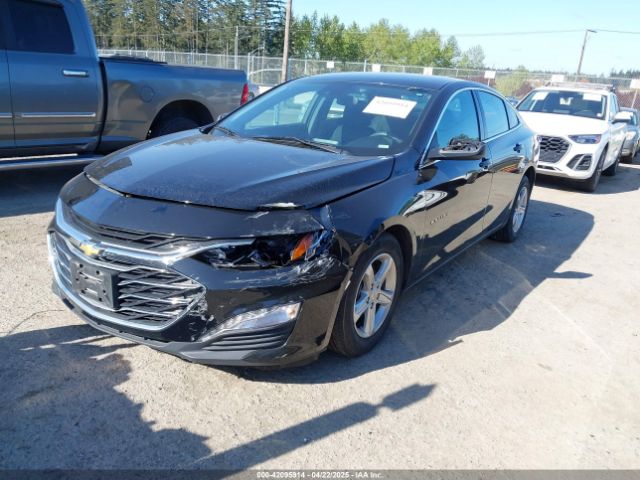 1G1ZD5ST8PF202536 Chevrolet Malibu Fwd 1lt