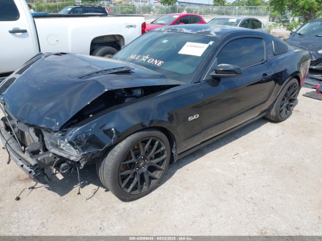 1ZVBP8CF6E5282977 Ford MUSTANG GT