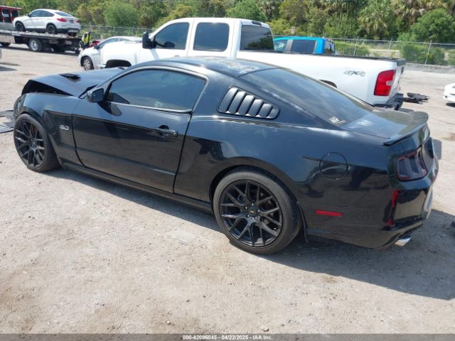 1ZVBP8CF6E5282977 Ford MUSTANG GT