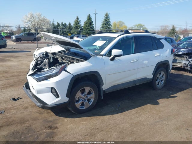 Toyota Rav4 Xle 2023 2T3W1RFV0PW269894 Image 2