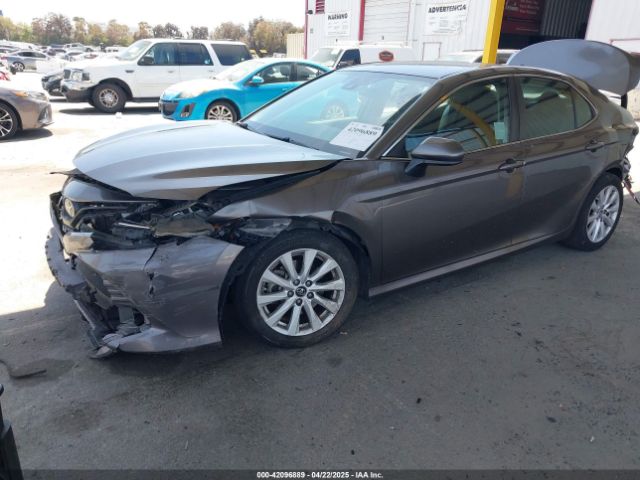 4T1B11HK8KU204599 Toyota CAMRY LE
