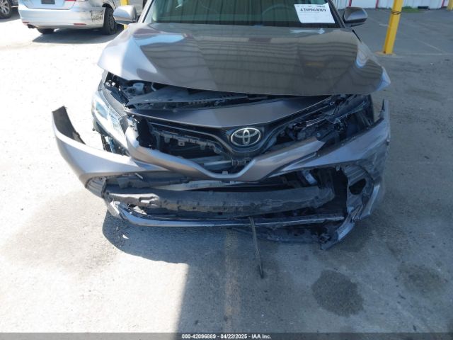 4T1B11HK8KU204599 Toyota CAMRY LE