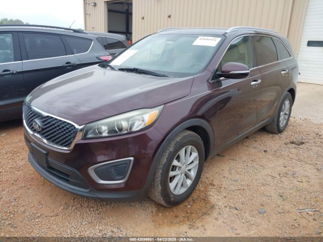 5XYPG4A31GG067009 KIA Sorento 2.4l Lx