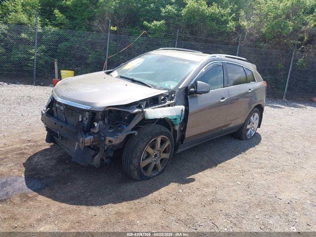 2011 CADILLAC SRX 3GYFNFEY7BS519548 Photo 1
