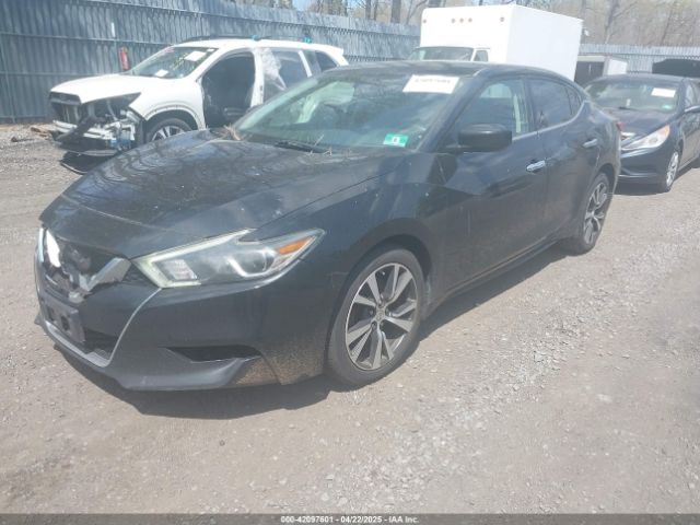 1N4AA6AP1GC406660 Nissan Maxima 3.5 S