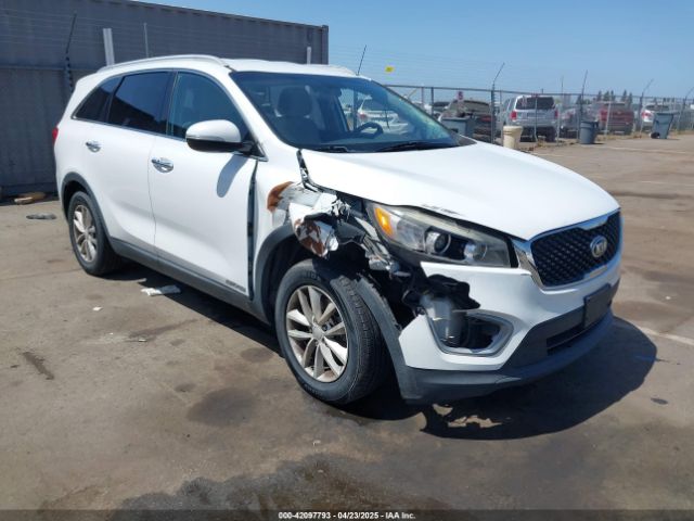 2017 KIA SORENTO 5XYPGDA51HG206607
