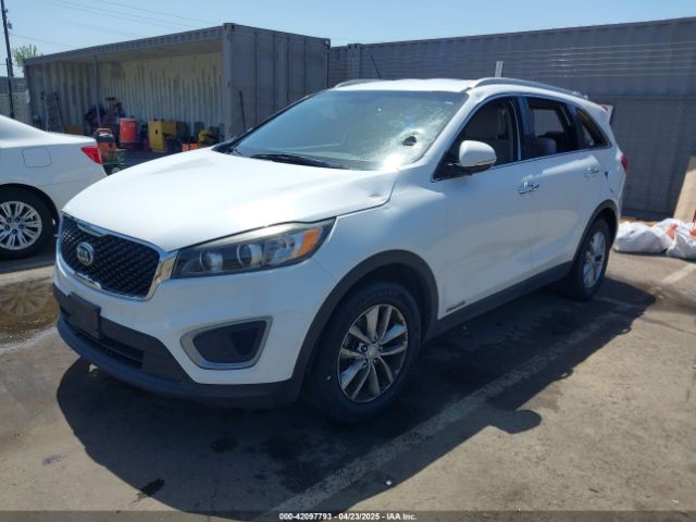 2017 KIA SORENTO 5XYPGDA51HG206607 Photo 1