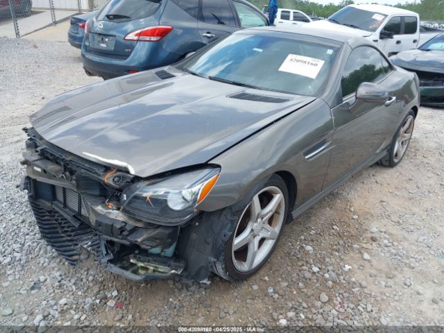 WDDPK4HA5FF110938 Mercedes-Benz SLK 250