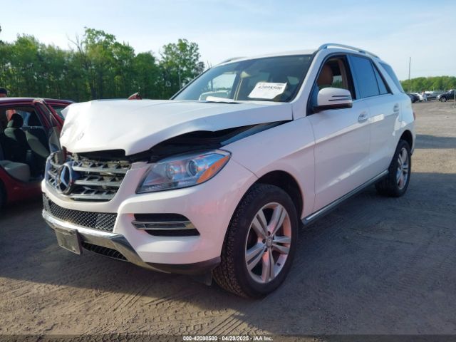4JGDA5HB9FA496058 Mercedes-Benz Ml 350 4matic