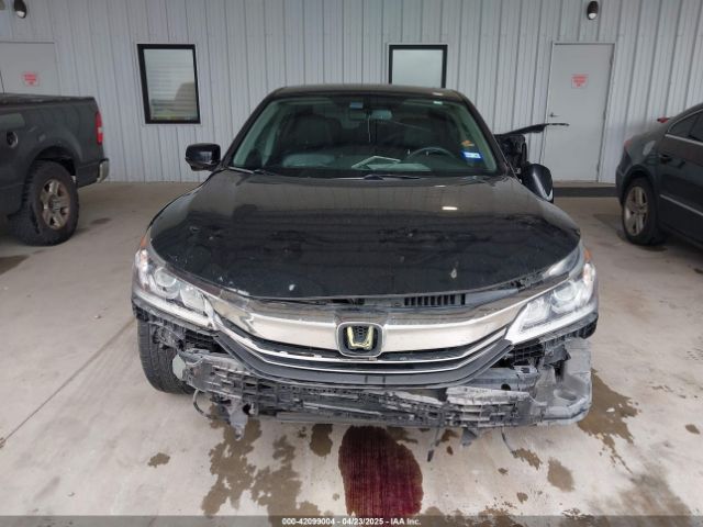 1HGCR2F83GA101230 Honda Accord Ex-l