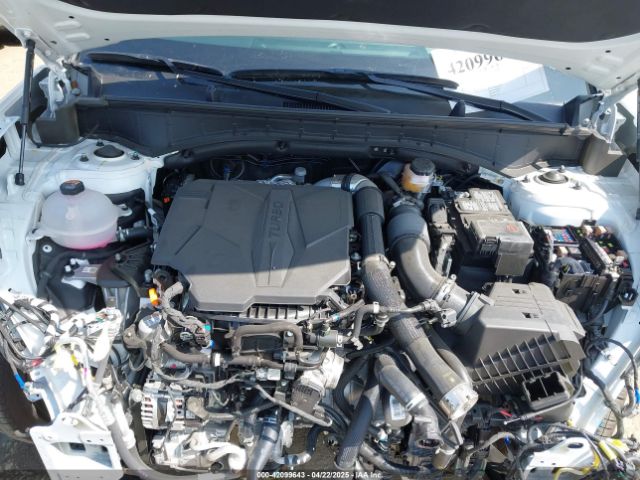 5NMP54GL6RH037350 Hyundai Santa Fe Calligraphy