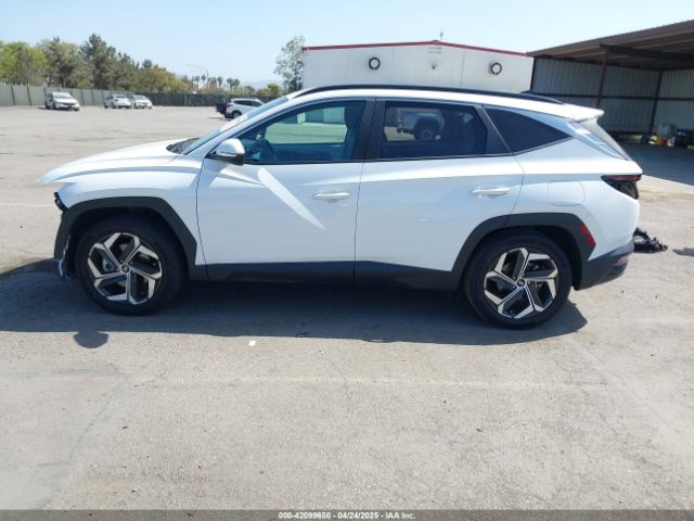 5NMJF3AE1PH187998 Hyundai TUCSON SEL