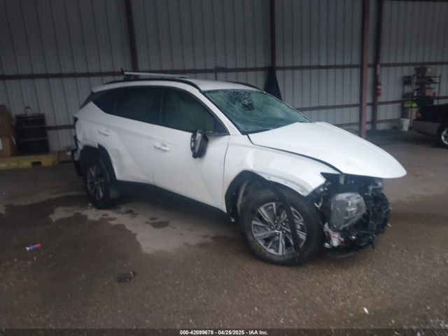 2022 HYUNDAI TUCSON HYBRID KM8JBCA19NU064198