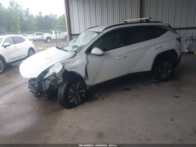 2022 HYUNDAI TUCSON HYBRID KM8JBCA19NU064198 Photo 1