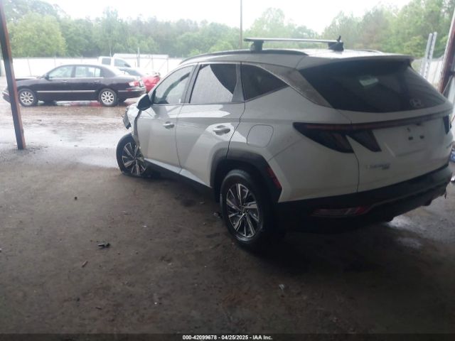 2022 HYUNDAI TUCSON HYBRID KM8JBCA19NU064198 Photo 2