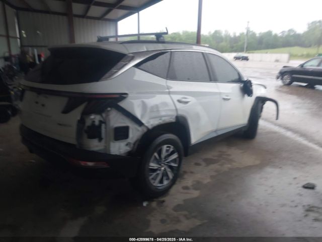 2022 HYUNDAI TUCSON HYBRID KM8JBCA19NU064198 Photo 3