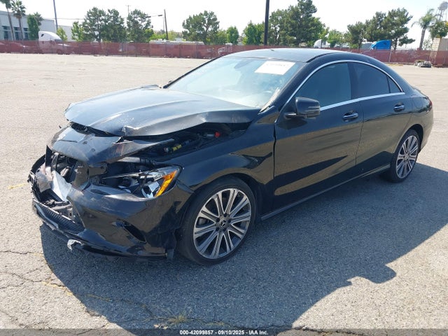 Mercedes-Benz m270 2019 WDDSJ4EB8KN715093 Image 2