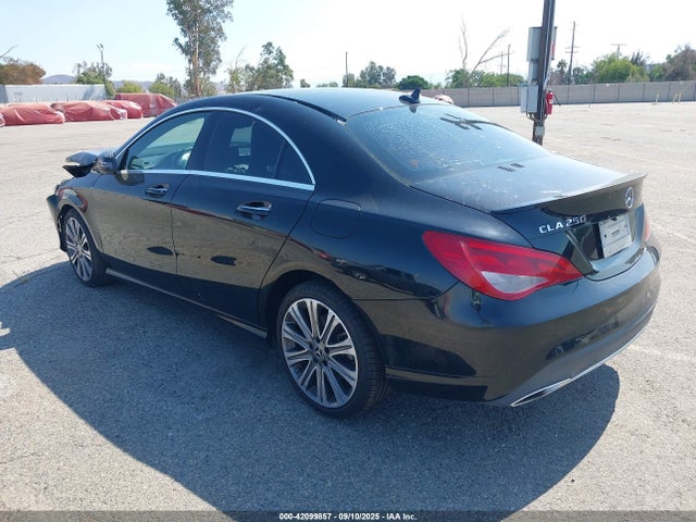 Mercedes-Benz m270 2019 WDDSJ4EB8KN715093 Image 3