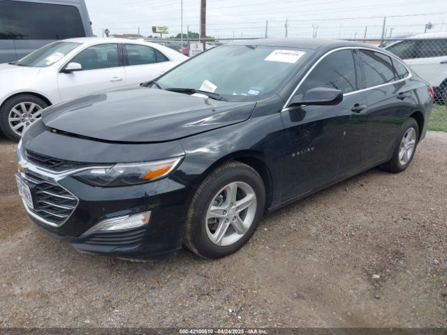 2025 CHEVROLET MALIBU 1G1ZB5ST0SF102851 Photo 1