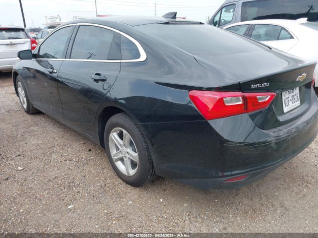 2025 CHEVROLET MALIBU 1G1ZB5ST0SF102851 Photo 2