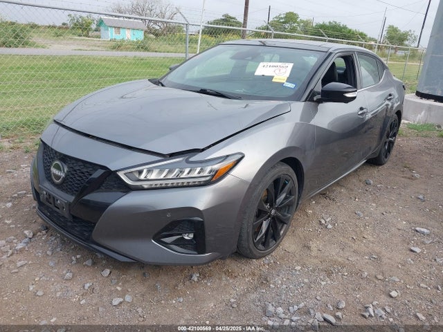Nissan Maxima Sr Xtronic Cvt 2023 1N4AA6EVXPC508029 Image 2