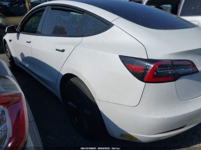 2021 TESLA MODEL 3 5YJ3E1EA8MF100456 Photo 2