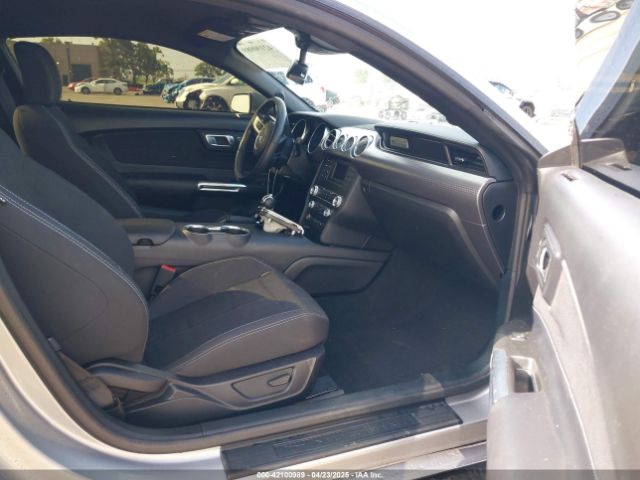 1FA6P8CF3M5117977 Ford Mustang Gt Fastback