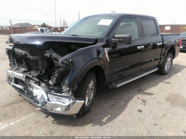 1FTEW1EP9MKD35526 Ford F-150 Xlt